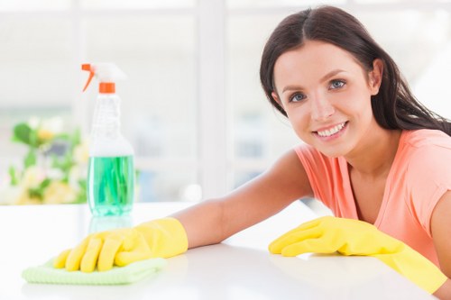 Cleaner using sustainable carpet cleaning practices with recycling focus