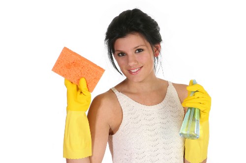 Professional cleaning process for pet odour removal in Archway