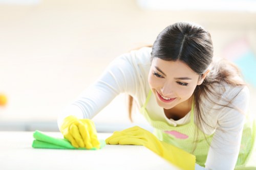 Deep cleaning a fabric sofa in Archway home