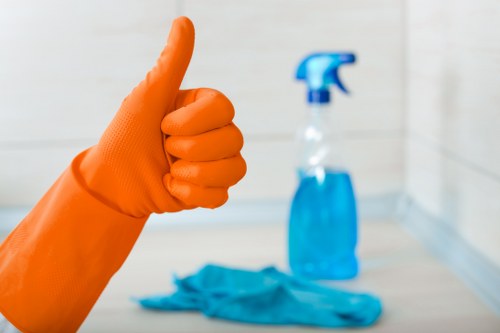 Close-up of professional carpet cleaning tools and solution