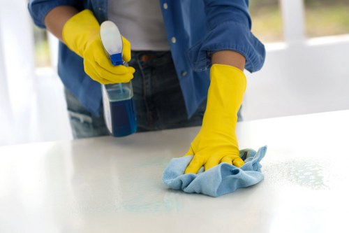 Leather sofa care and cleaning in Archway