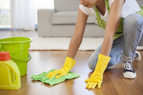 Service team assessing a carpet cleaning concern carefully
